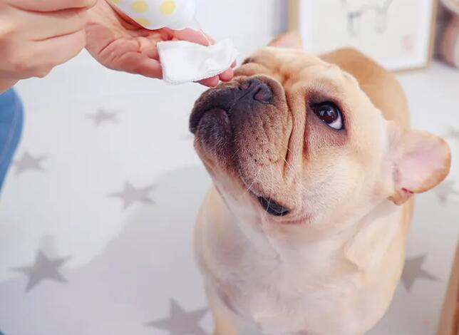 寵物用品進(jìn)口報(bào)關(guān)關(guān)稅稅率（寵物用品進(jìn)口關(guān)稅是多少？）